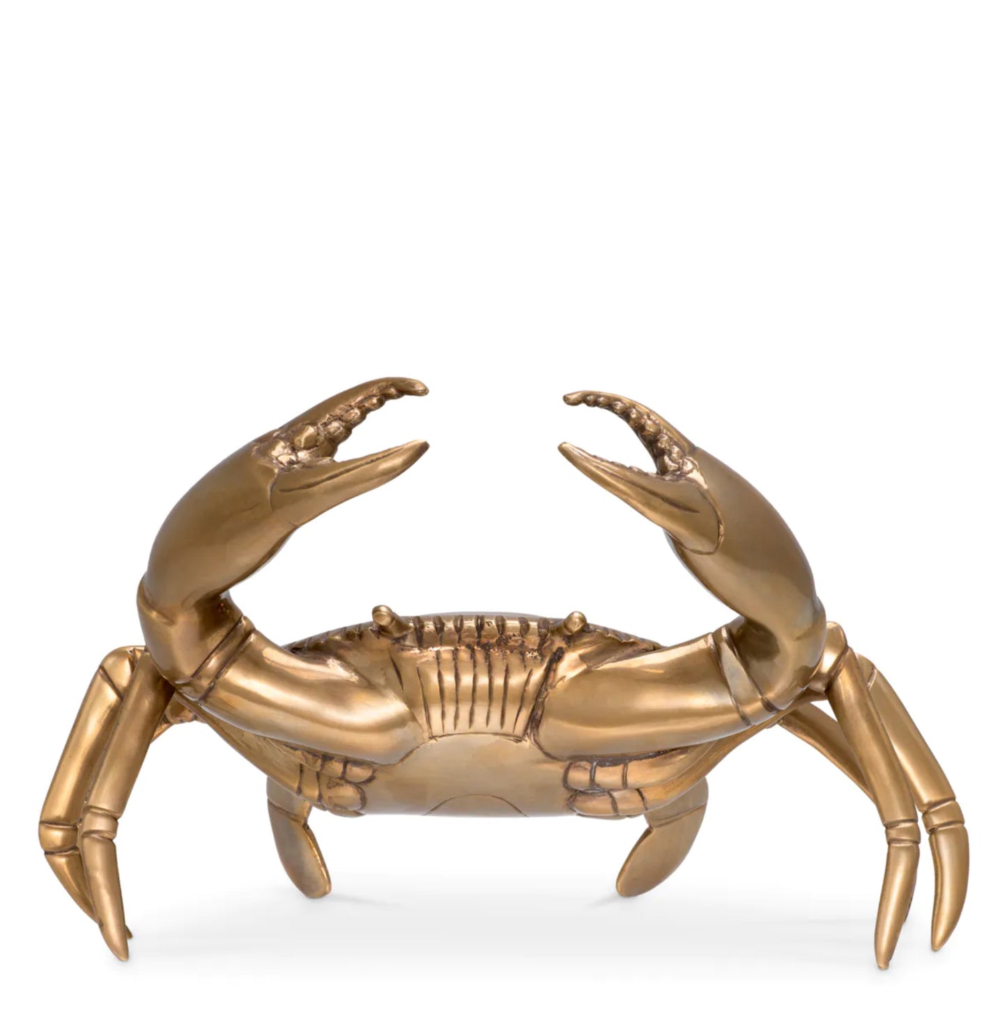 Crab